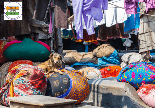 Delhi Slum Tour