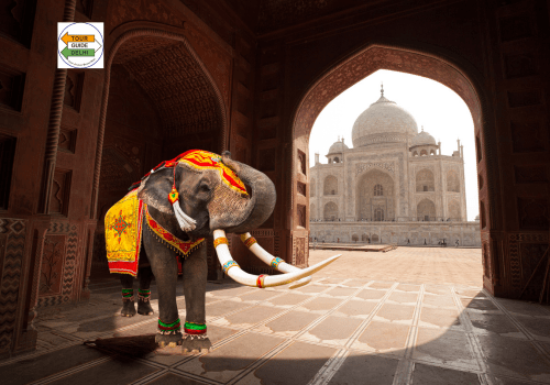 Taj Mahal Tour with Elephant Conservation Centre